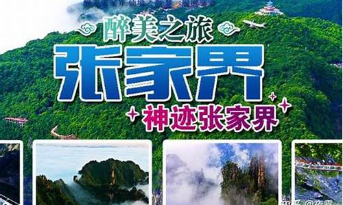 张家界旅行社排名前10名_张家界旅行社排