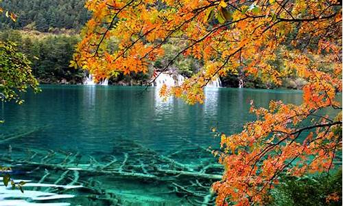 四川的九寨沟简介_四川的九寨沟简介图鉴