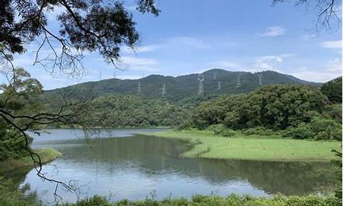 厦门天竺山门票多少钱_厦门天竺山门票多少