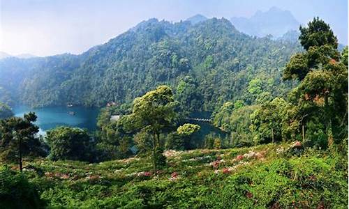 肇庆市鼎湖山风景区地图_肇庆市鼎湖山风景