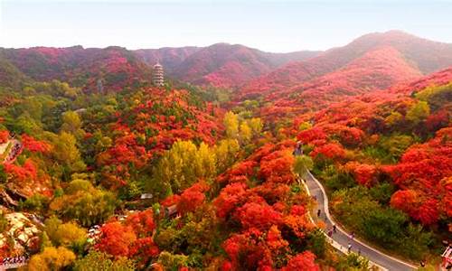 红叶谷风景区旅游_红叶谷风景区旅游攻略