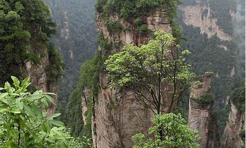 跟团去张家界旅游_跟团去张家界旅游要多少