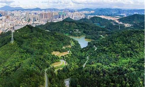 深圳龙华公园附近花店_深圳龙华公园附近花店地址