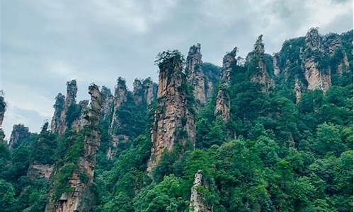 深圳去张家界旅游要多少钱_深圳去张家界旅游要多少钱一天