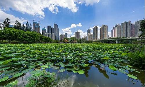 深圳洪湖公园人工湿地_深圳洪湖公园人工湿地在哪里