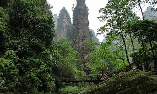 武汉到张家界旅游_武汉到张家界旅游攻略