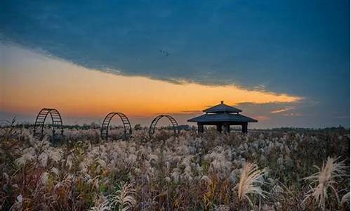 杭州湾湿地公园 三八节_杭州湾湿地公园 三八节门票