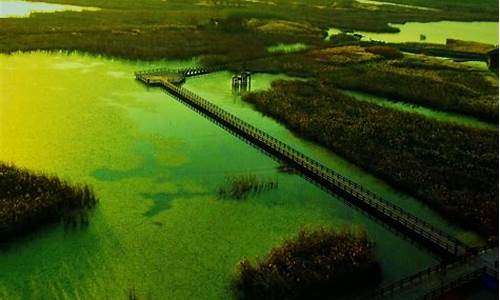 慈溪杭州湾湿地公园门票_慈溪杭州湾湿地公园门票多少钱