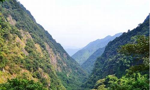 旗山森林公园要门票_旗山森林公园要门票吗现在