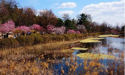 北京植物园预约_北京植物园预约门票官网2023年