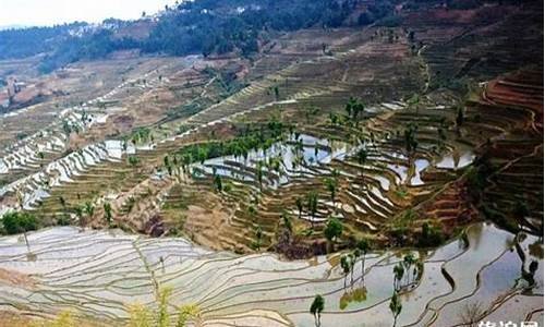 红河景点最值得去的地方_红河景点最值得去的地方是哪里呢