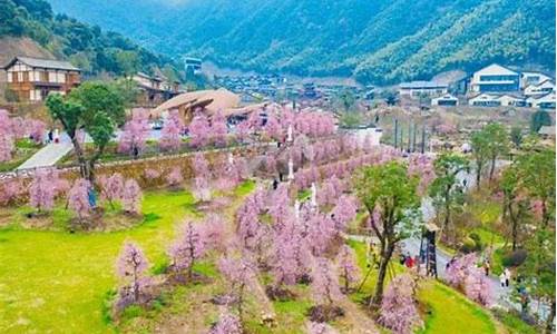 凤凰沟风景区门票优惠政策_凤凰沟风景区门票优惠政策最新