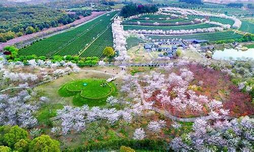 江西凤凰沟风景区门票_江西凤凰沟风景区门票价格