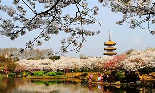 武汉磨山风景区门票_武汉磨山风景区门票多少钱