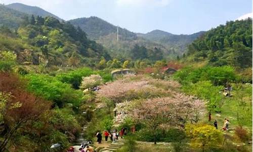 梅岭风景区攻略路线图最新_梅岭风景区攻略路线图最新版