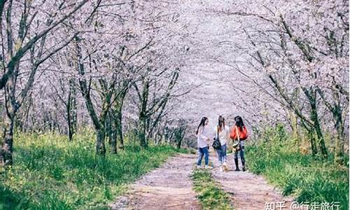 春季旅游景点广告_春季旅游景点广告语