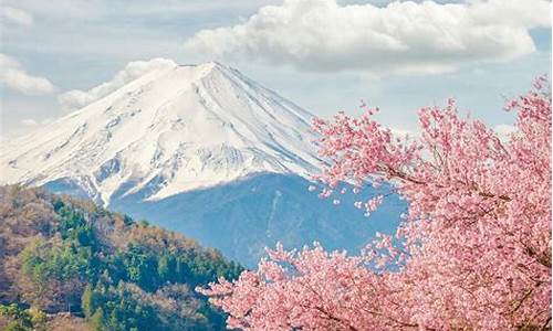 日本景点 游客不打伞的原因_日本景点 游客不打伞的原因是什么